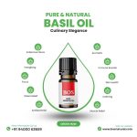 Basil Oil