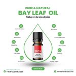 Bay leaf Oil