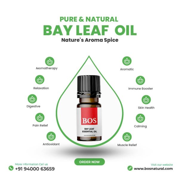 Bay leaf Oil