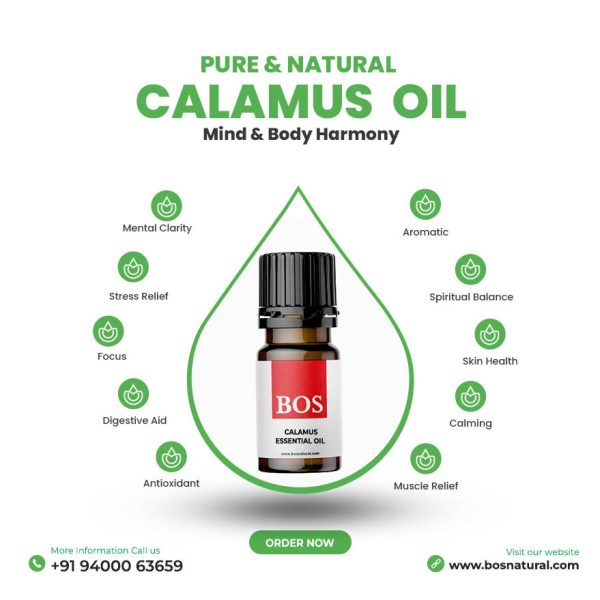 Calamus Oil