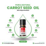 Carrot Seed Oil
