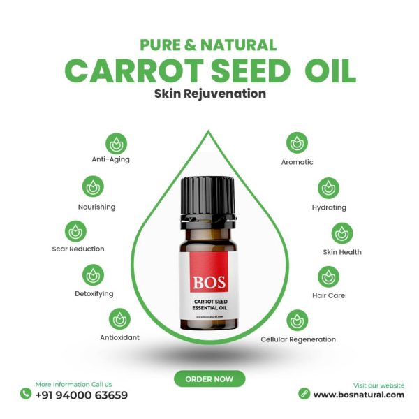 Carrot Seed Oil