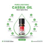 Cassia Oil