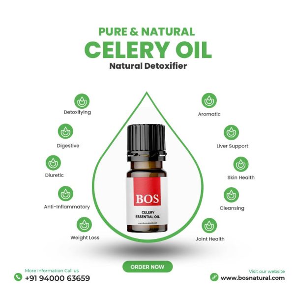 Celery Seed Oil