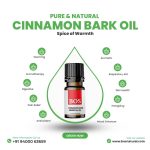 Cinnamon Bark oil