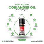 Coriander Oil