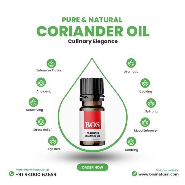 Coriander Oil