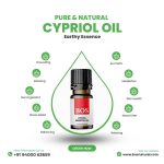 Cypriol Oil