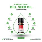 Dill Seed Oil