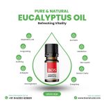 Eucalyptus Oil