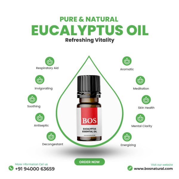 Eucalyptus Oil