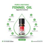 Fennel Oil