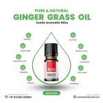 Ginger Grass oil