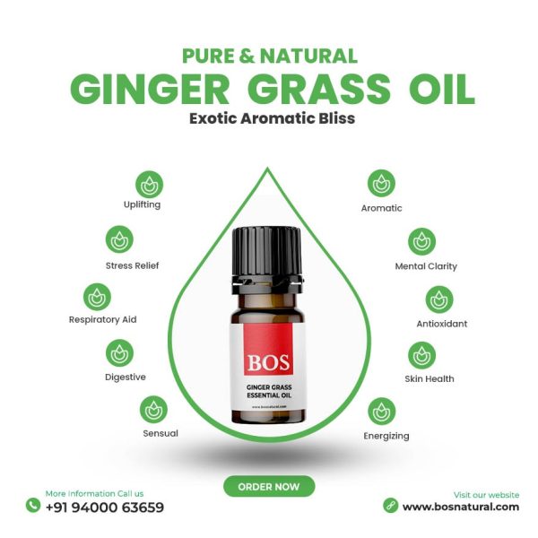 Ginger Grass oil