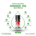 Ginger Oil
