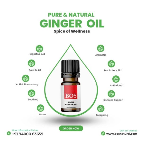 Ginger Oil