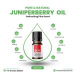 Juniper Berry Oil