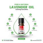 Lavender Oil