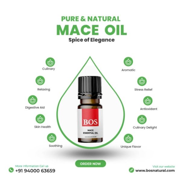 Mace Oil