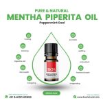 Mentha Piperita Oil