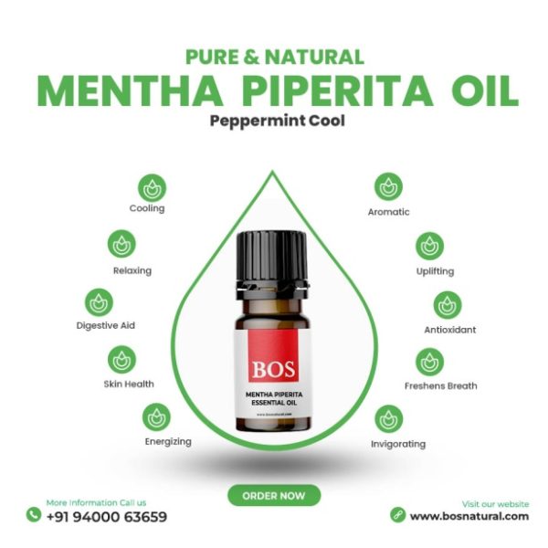 Mentha Piperita Oil