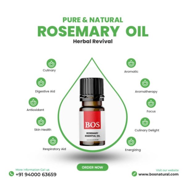 Rosemary Oil