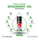 Spearmint Oil