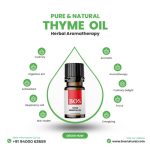 Thyme Oil(Red)
