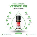 Vetiver Oil