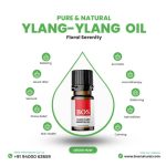 Ylang -Ylang Oil