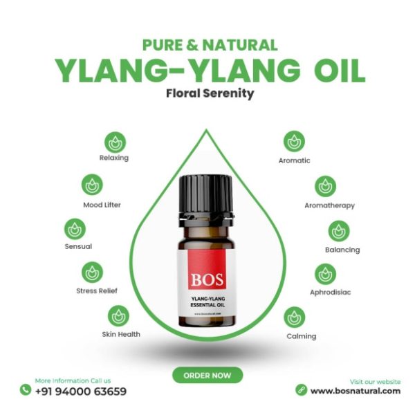 Ylang -Ylang Oil