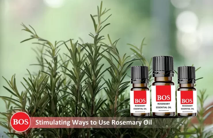Stimulating Ways to use Rosemary Oil