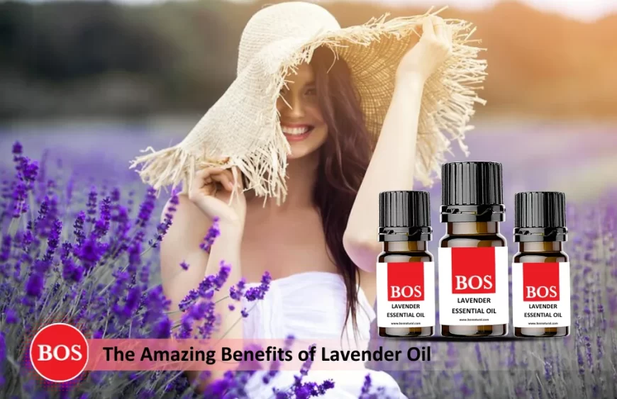 Benefits of Lavender Oil