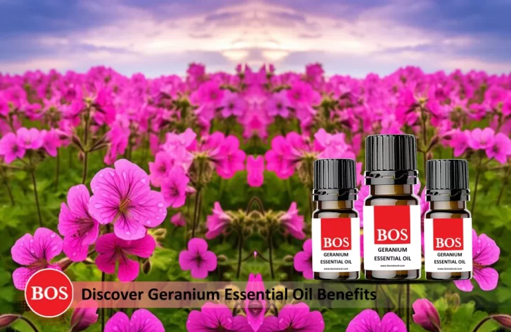 Geranium Essential Oil