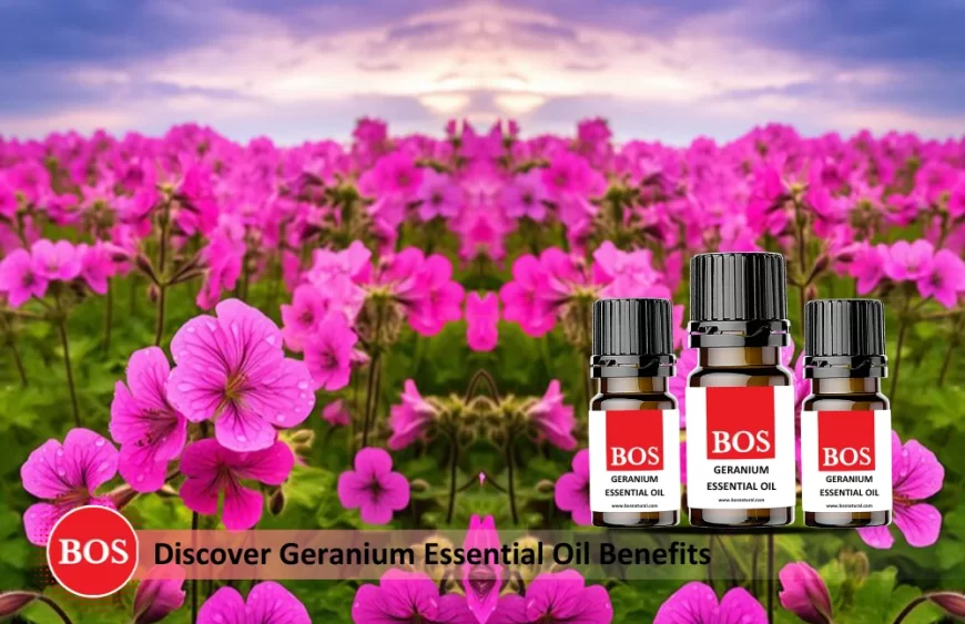 Geranium Essential Oil