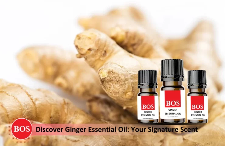 Ginger Essential Oil