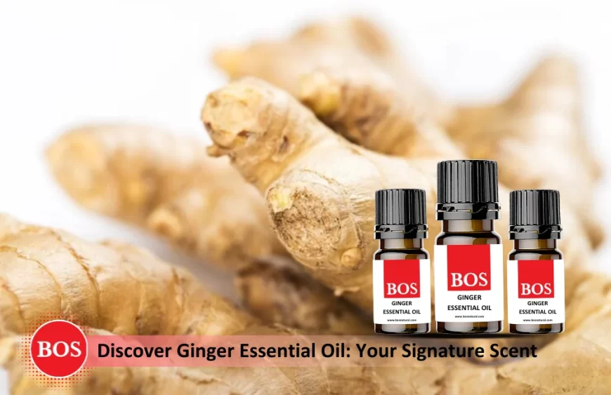 Ginger Essential Oil