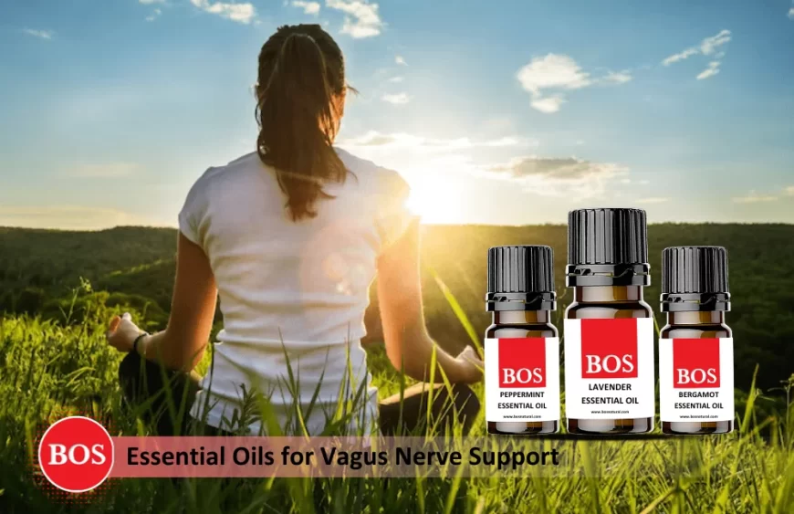 Essential Oil for Vagus Nerve Support