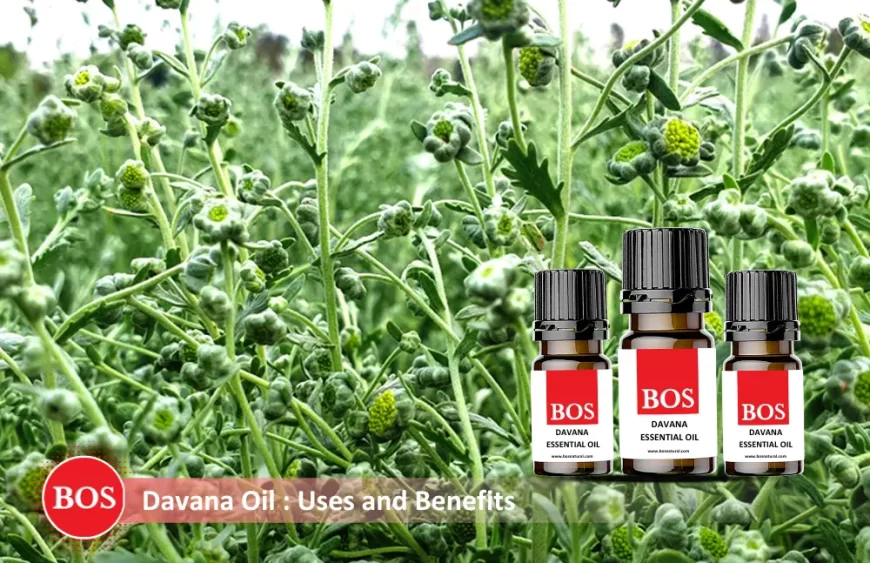 Blog – Essential Oil (2) (1)