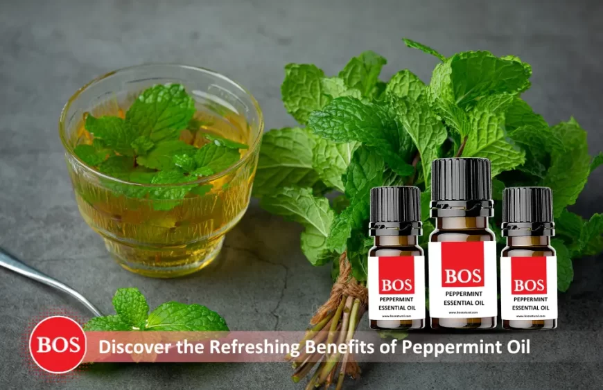 Blog – Essential Oil (3)