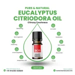 Eucalyptus Citriodora Oil