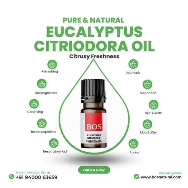 Eucalyptus Citriodora Oil