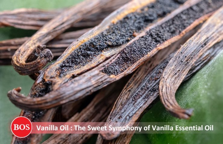 WhatsApp Image 2024-10-17 at 6.40.52 PM