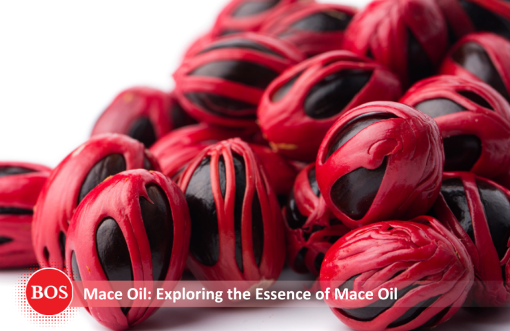 Blog – Essential Oil (4)